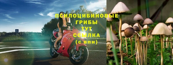 МДМА Протвино