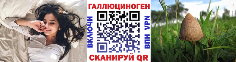 где купить наркоту  shop Telegram  Галлюциногенные грибы MAGIC MUSHROOMS  Покровск 